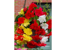 46,22���. ������� ������ ������� �����(��� 5 ��. ���������� �� 2��.).jpg