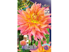 75,9���. �������� �����(�������� ���� �� 1 ��., ����������� ����� 1��.).jpg