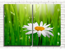 ������� 2-1.jpg