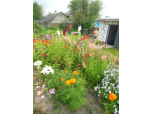 DSCN2169.JPG