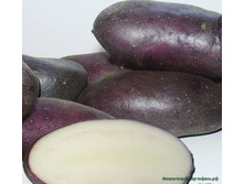 ������� (�����) 50���. �� 1��.jpg