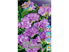 6,15���. ������ ����� (������.)(���������� ������ ������ ���������� �� 10 ��.).jpg