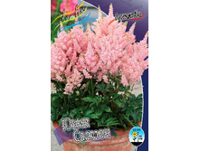 78,15���. �������� ���� ������(�������� ���� �� 2 ��., ����������� ����� 1��.).jpg