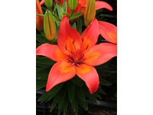 20,59���. ����� �������(��� 7 ��. ���������� �� 2��.).jpg