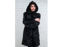 �������� ���� ���� �20