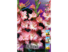 7,86���. ��������� ���(���������� ������ ������ ���������� �� 7 ��.).jpg