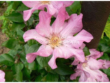 �������� ������-185.JPG