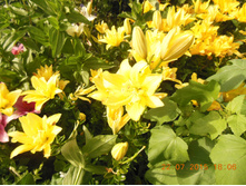DSCN1531.JPG