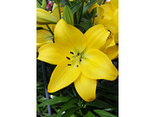 17,71���. ����� �������(��� 7 ��. ���������� �� 2��.).jpg