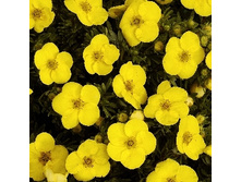 122���. �������� ������������� �������.jpg