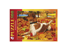 ���� STANDARD 500 ���������, �2, ����� �����, 340�460��, 500��2 05284 133,49.jpg