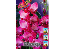 8,53���. ��������� �������(���������� ������ ������ ���������� �� 7 ��.).jpg