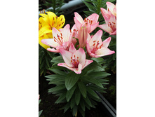 23,92���. ����� �������� ����(��� 5 ��. ���������� �� 2��.).jpg