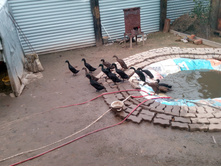 IMG 20161007 131659.jpg