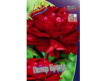 361,7���. ���� ����� �����(�������� ���� �� 1 ��., ����������� ����� 1��.).jpg