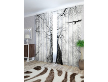 ��������� �������.jpg