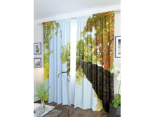 ����� ��������.jpg