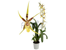 ������� ������ ���� 12�60. 553,47 ���.jpg