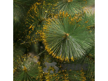 ���� HJ210-82 210�� ������ 360����� ���.�����. ��� 00060389 2599,9���.jpg