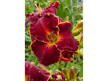 156,3���. �������� ����� ���(�������� ���� �� 1 ��., ����������� ����� 1��.)���16.jpg