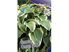 91,6���. ����� ������ ����� ���(�������� ���� �� 1 ��., ����������� ����� 1��.).jpg