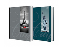 481���. ��� ��-00001491 V ���������� 300 ����� 021 ������ ������ Image ART ����.��������.jpg