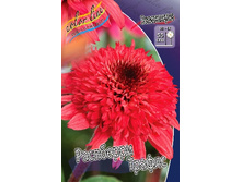 290,6���. �������� ��������� ������(�������� ���� �� 1 ��., ����������� ����� 1��.).jpg