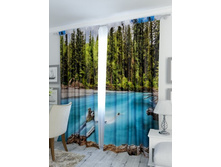 ������ ����.jpg