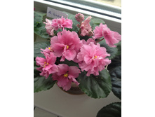 ��-������