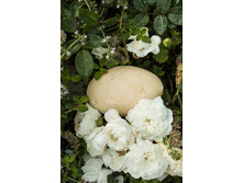 ��.����.����