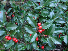 143���. ����� ������� ��� ���������.jpg