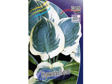 124,7���. ����� ������ ���(�������� ���� �� 1 ��., ����������� ����� 1��.).jpg