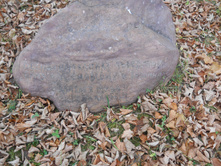DSCN3233.JPG