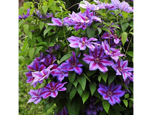 �������� ������-185.jpg