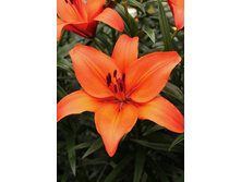 20,59���. ����� �����(��� 7 ��. ���������� �� 2��.).jpg