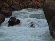 DSC 7292.JPG