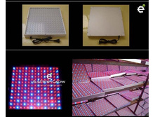 56b331254e7a8 10wenl.jpg