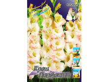 9,37���. ��������� ���� ��������(���������� ������ ������ ���������� �� 7 ��.).jpg