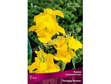 ����� ������������� ������ ������.jpg