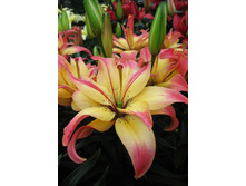 23,92���. ����� �������� ����(��� 5 ��. ���������� �� 2��.).jpg