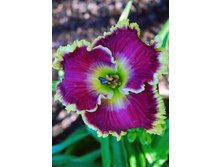 187,9���. �������� �������� �����(�������� ���� �� 1 ��., ����������� ����� 1��.).jpg