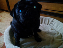 IMG 20161018 145309.jpg