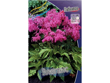 75���. �������� �������(�������� ���� �� 2 ��., ����������� ����� 1��.).jpg