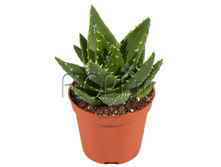 ���� ����������� 9�15. 104,86 ���.jpg