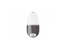 �647.png