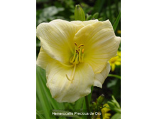 70,25���. �������� ��������� �� ���(�������� ���� �� 2 ��., ����������� ����� 1��.)���16.jpg