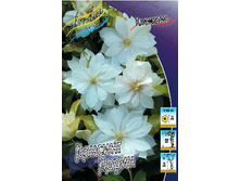 251,9���. �������� ������� �����(�������� ���� �� 2 ��., ����������� ����� 1��.).jpg