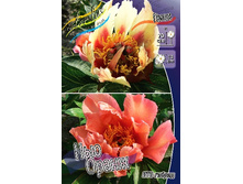 1672,7���. ���� ��� ������ (���)(�������� ���� �� 1 ��., ����������� ����� 1��.).jpg