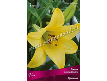 ����� �������.jpg