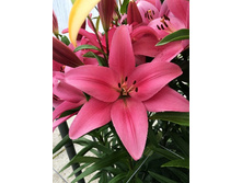 20,59���. ����� ��������(��� 7 ��. ���������� �� 2��.)���17.jpg